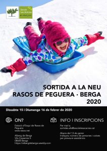 Cartell de la sortida a la neu 2020