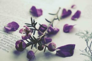Llibres coeducatius i feministes