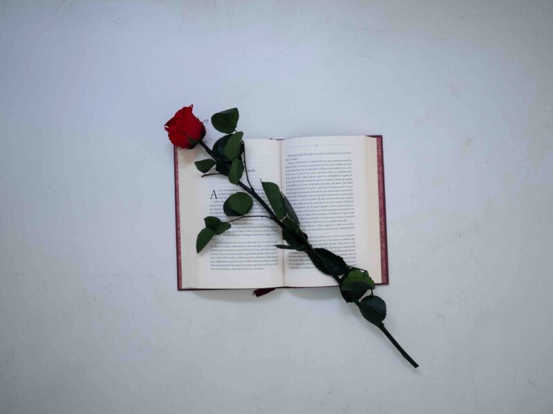 Sant Jordi